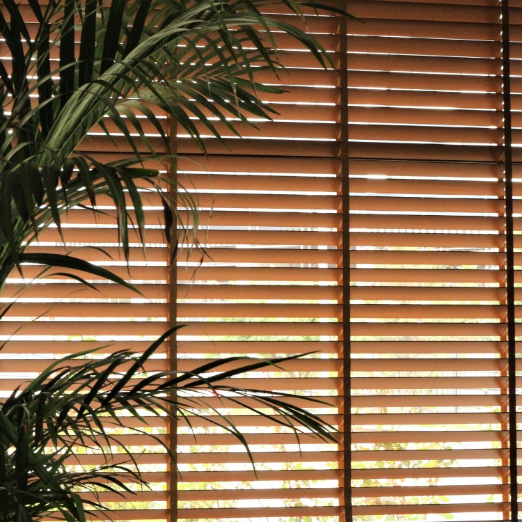 Blinds and shades in Show Low, AZ